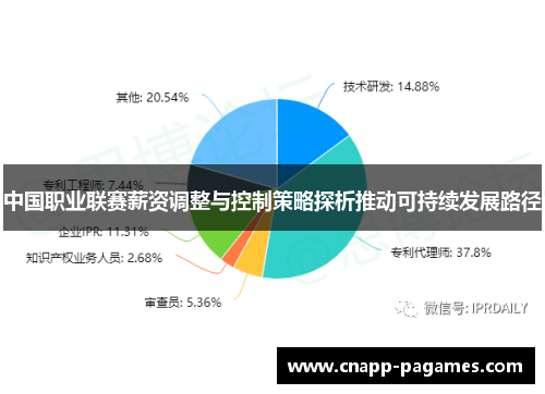 中国职业联赛薪资调整与控制策略探析推动可持续发展路径 中国职业联赛薪资调整与控制策略探析推动可持续发展路径