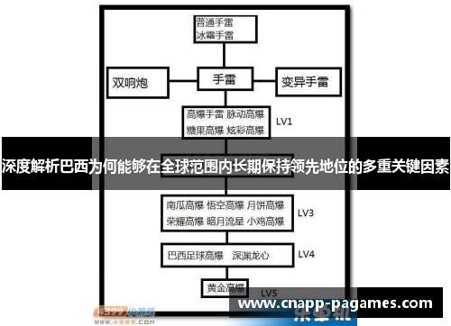 深度解析巴西为何能够在全球范围内长期保持领先地位的多重关键因素 深度解析巴西为何能够在全球范围内长期保持领先地位的多重关键因素