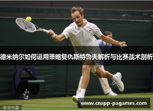 德米纳尔如何运用策略复仇斯特鲁夫解析与比赛战术剖析 德米纳尔如何运用策略复仇斯特鲁夫解析与比赛战术剖析