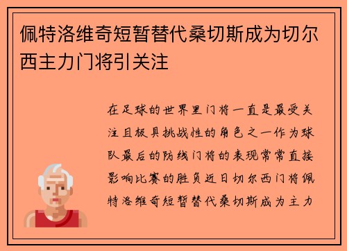 佩特洛维奇短暂替代桑切斯成为切尔西主力门将引关注 佩特洛维奇短暂替代桑切斯成为切尔西主力门将引关注